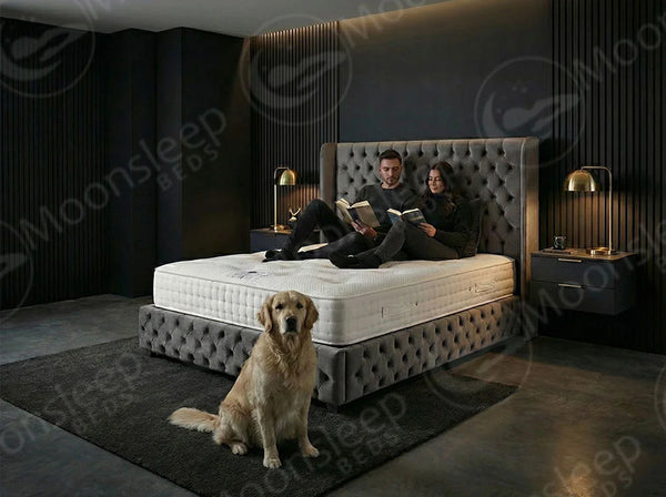 Winged Ambassador Bed with Storage and Mattress